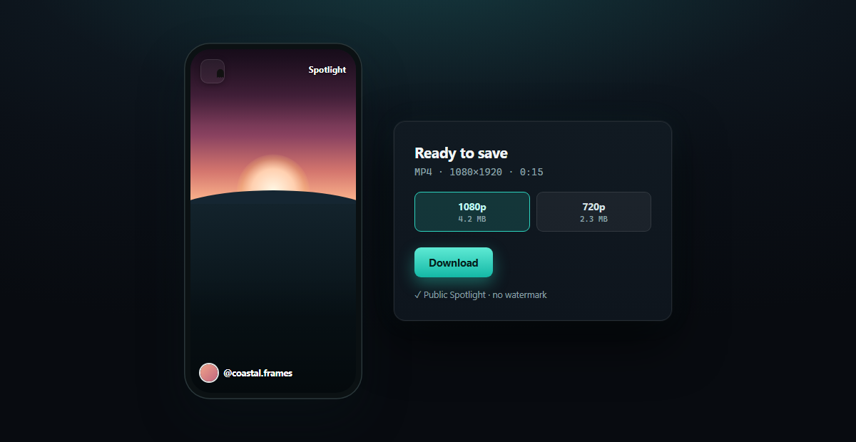 Snapchat Video Downloader — result panel