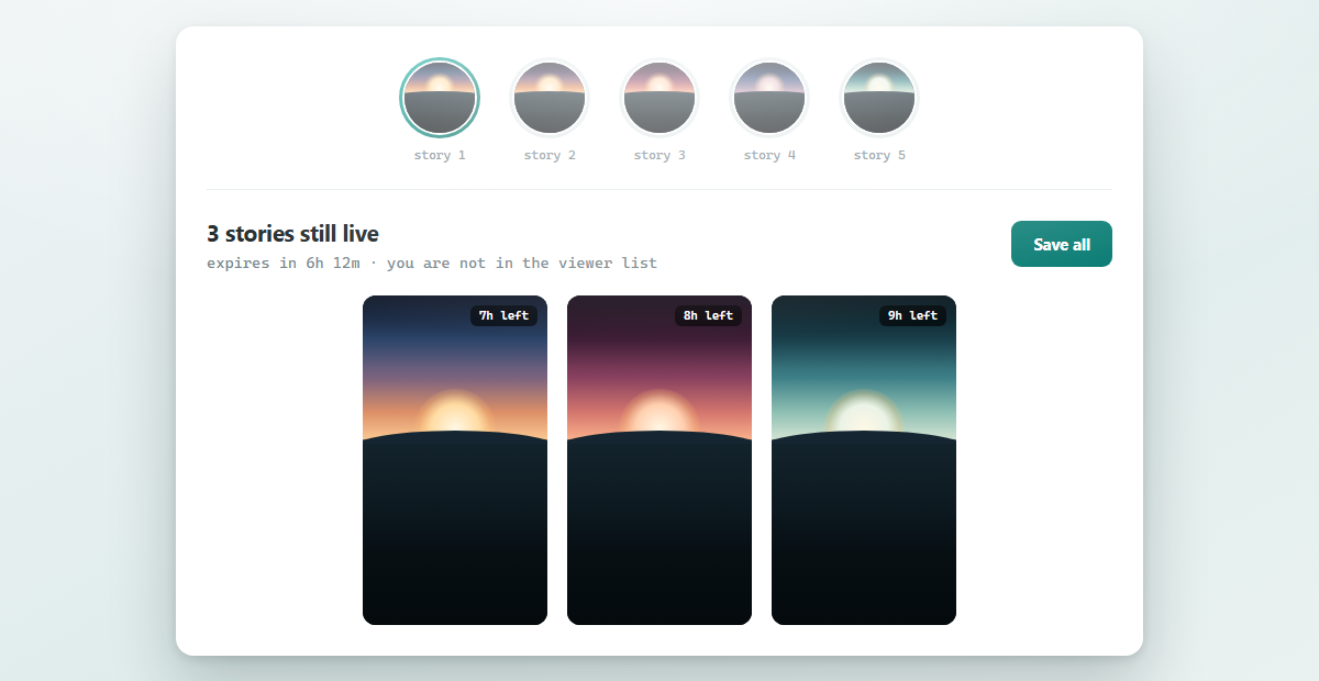 Download Instagram Story — result panel
