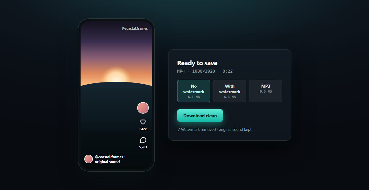TikTok Video Downloader — result panel