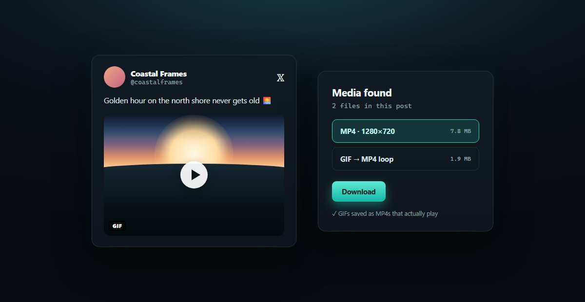 X (Twitter) Video Downloader — result panel