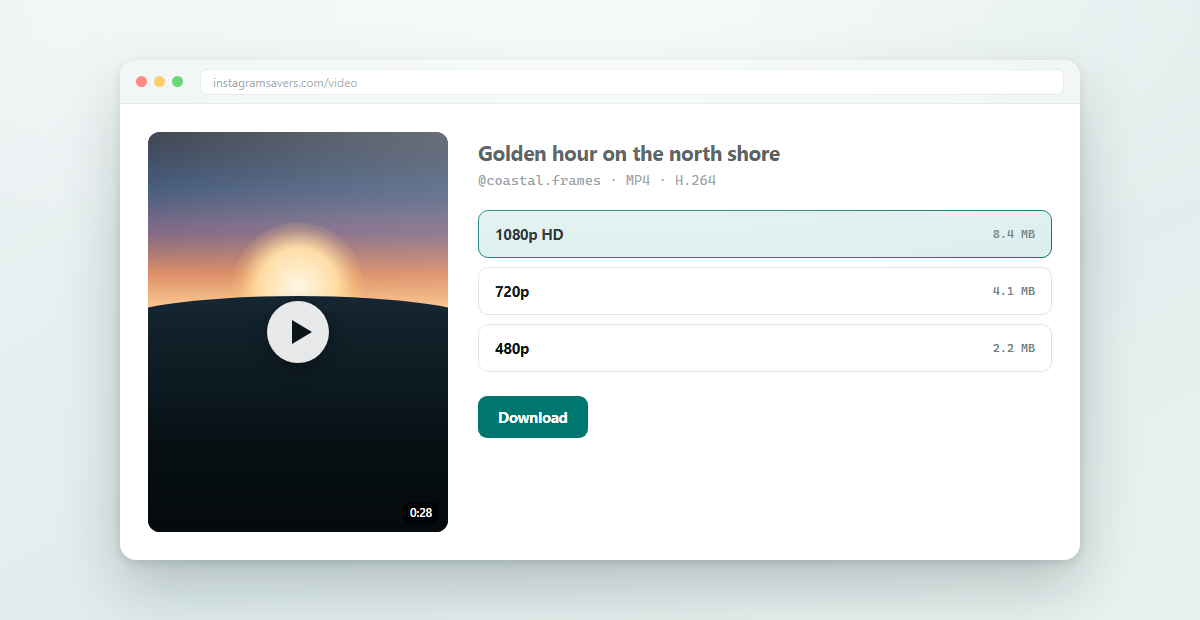 Instagram Video Downloader — result panel